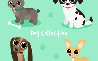 动物三视图ai做出来，动物三视图ai做出来的图片