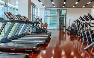 豚鼠特工队下载，豚鼠特工队下载安装